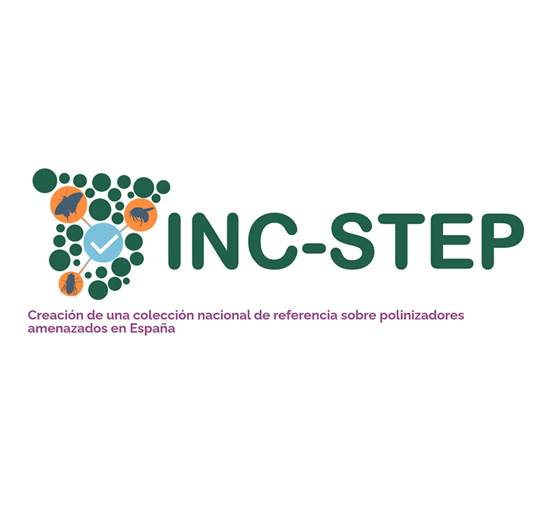 Representative picture of the project